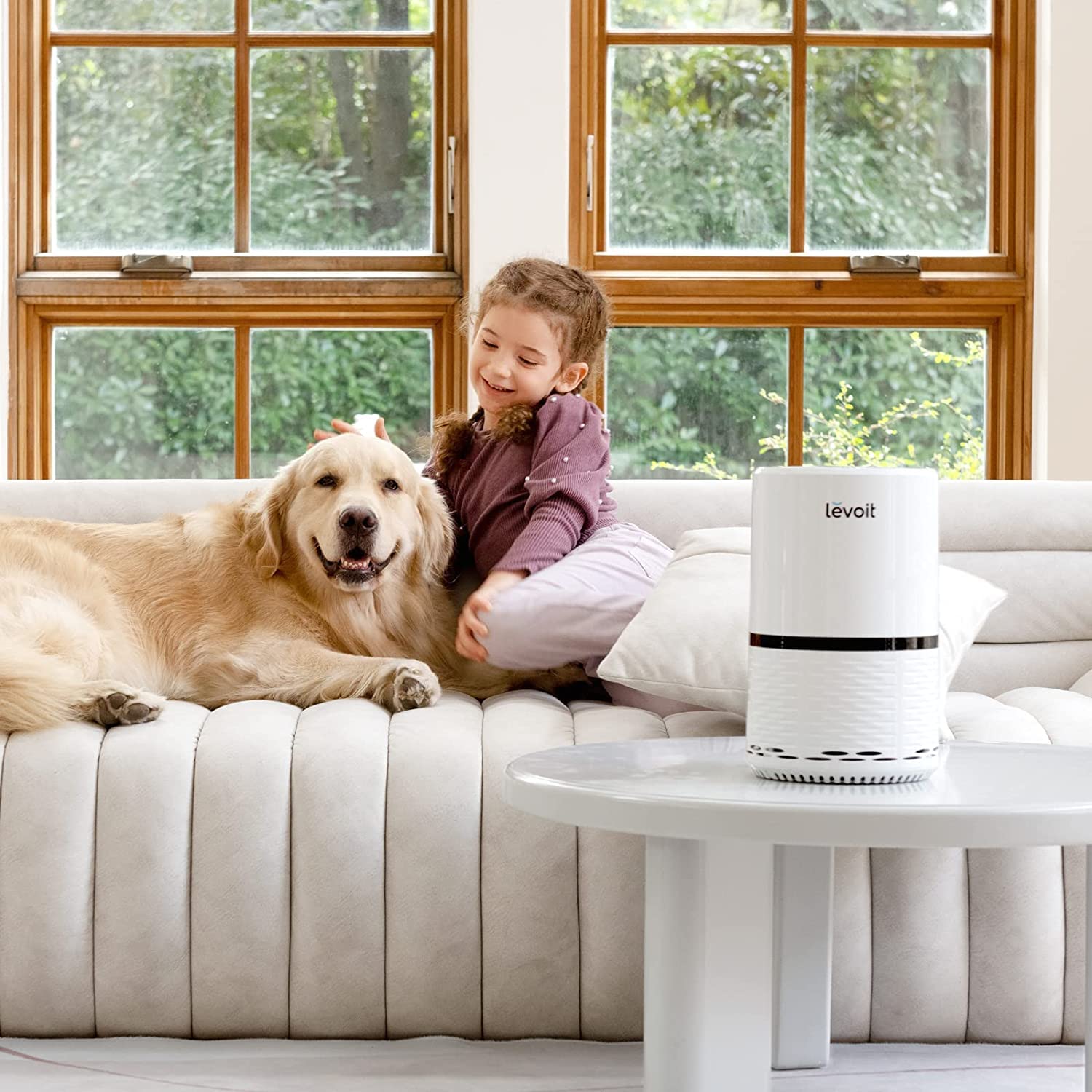 Levoit Air Purifier for Home , H13 True HEPA Filter for Allergies and Pets , Dust , Mold , and Pollen , Smoke and Odour Eliminator منقي هواء للمنزل مزود بفلتر ترو هيبا اتش 13 للحساسية والحيوانات الاليفة والغبار والعفن ولقاح الازهار والدخان من ليفويت Levoit Air Purifier for Home , H13 True HEPA Filter for Allergies and Pets , Dust , Mold , and Pollen , Smoke and Odour Eliminator منقي هواء للمنزل مزود بفلتر ترو هيبا اتش 13 للحساسية والحيوانات الاليفة والغبار والعفن ولقاح الازهار والدخان من ليفويت